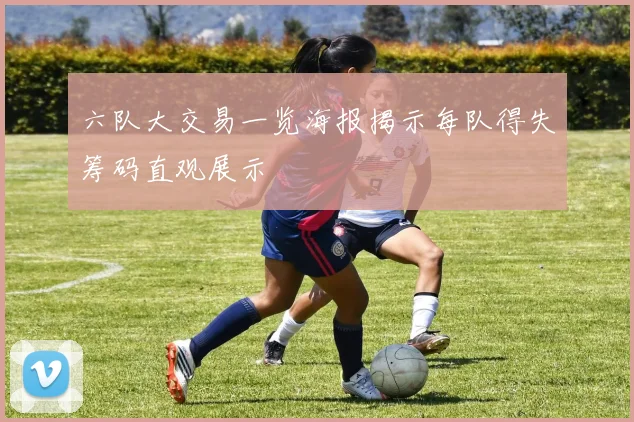 六队大交易一览海报揭示每队得失筹码直观展示